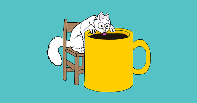 Facts about coffee