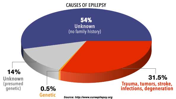 The causes of epilepsy